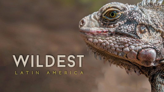 Wildest Latin America