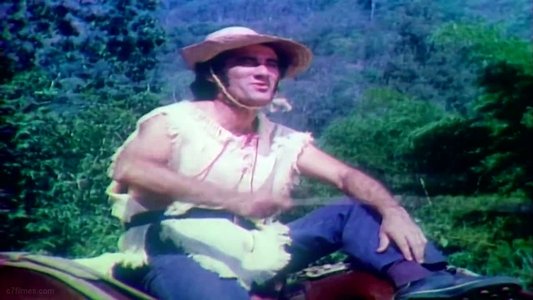Robin Hood, O Trapalhão da Floresta