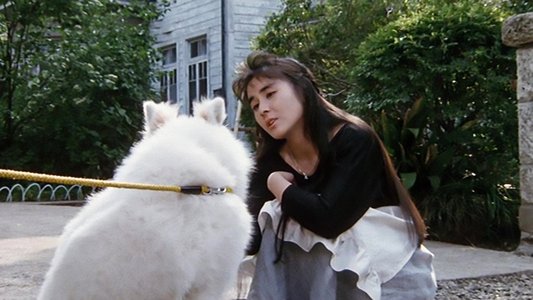 めぞん一刻