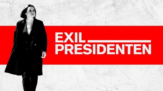 The Accidental President