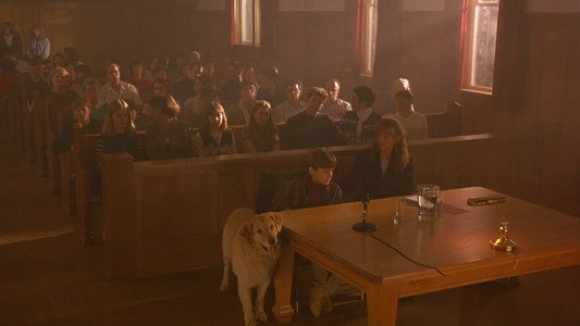 Air Bud
