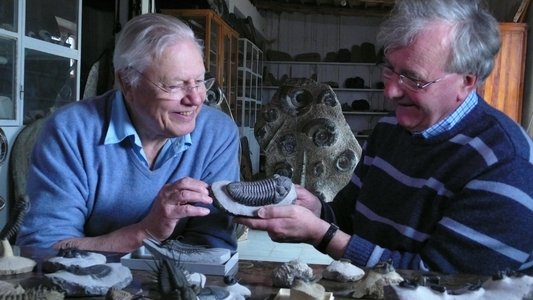 Attenborough at 90: Behind the Lens
