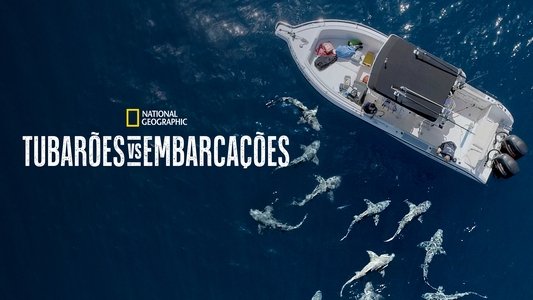 Jaws vs. Boats