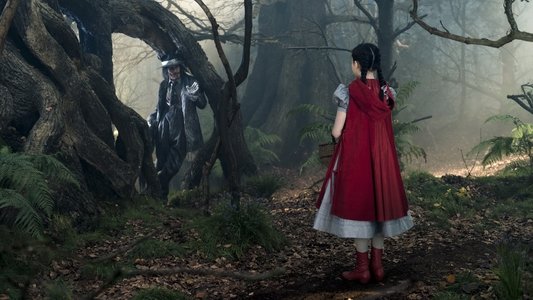 Into the Woods