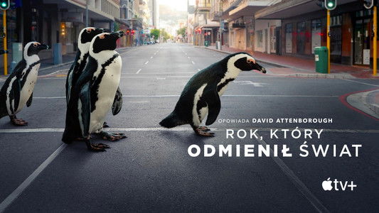 The Year Earth Changed