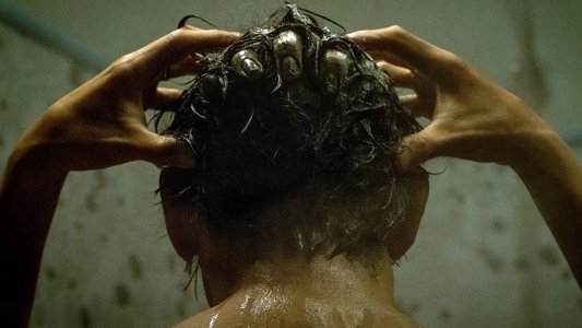 The Grudge