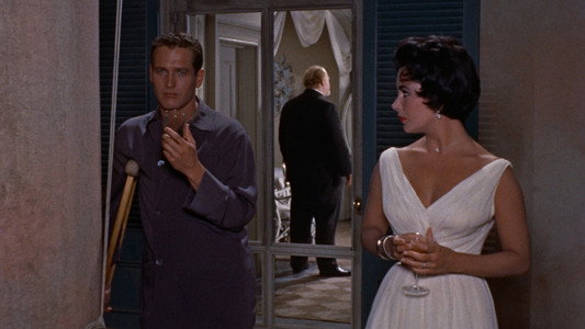 Cat on a Hot Tin Roof