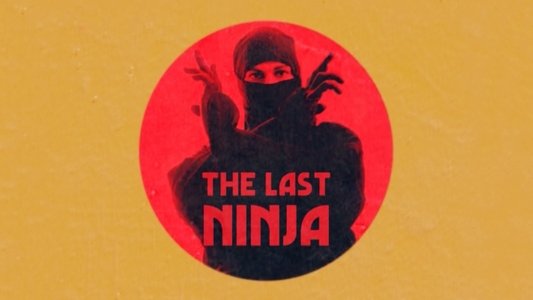 The Last Ninja