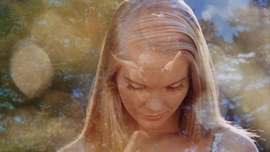 The Swimmer