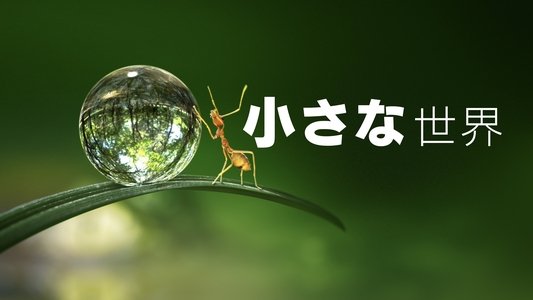 Tiny World