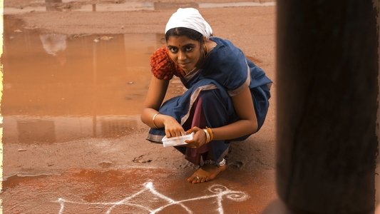ஹவுஸ் ஓனர்