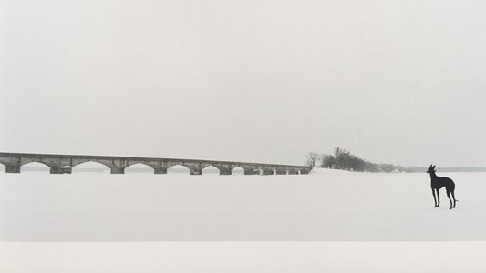 Pavasaris
