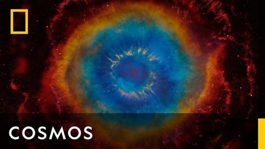 Cosmos