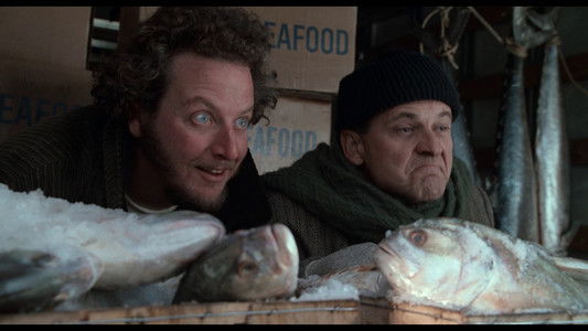 Home Alone 2: Lost in New York