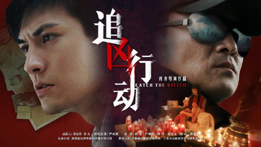 追凶行动