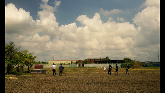 Mùa lúa mới