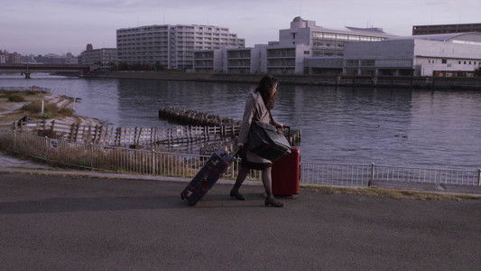 リップヴァンウィンクルの花嫁