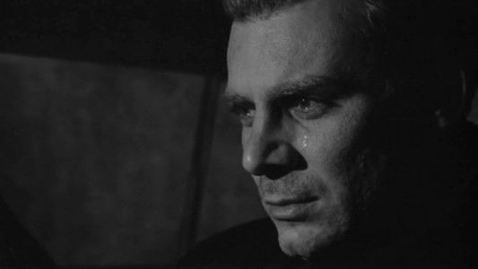 Le stagioni del nostro amore