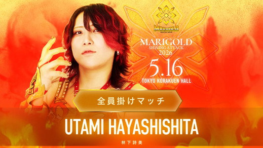 Marigold Shining Attack 2026 ~ Day 7