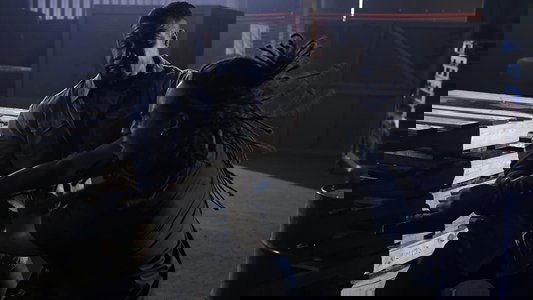 Falcon Rising