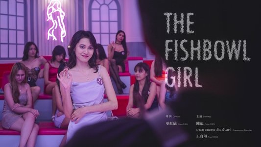 金魚缸小姐