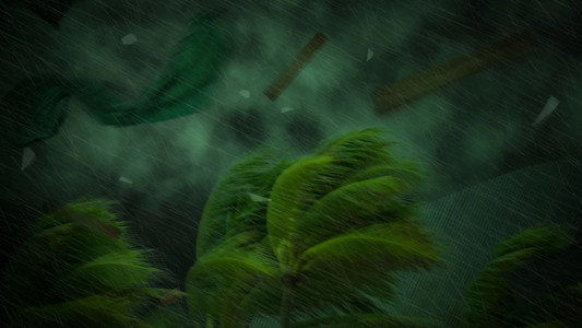 Tracy: A Force of Nature