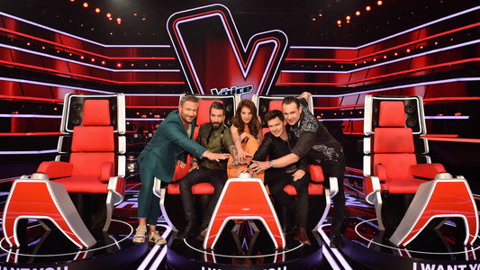 The Voice Senior (DE)
