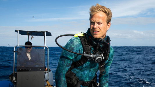 Dolphins Up Close with Bertie Gregory