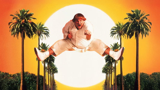 Beverly Hills Ninja