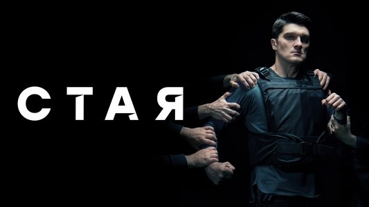 Стая