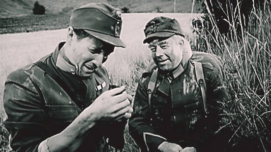 Der brave Soldat Schwejk