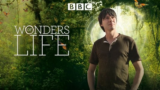 Wonders of Life