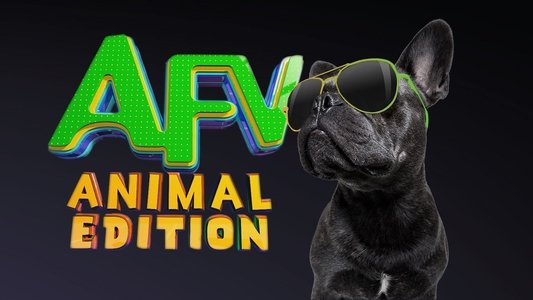 America's Funniest Home Videos: Animal Edition