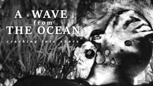 A Wave from the Ocean Crashing Into the Shore