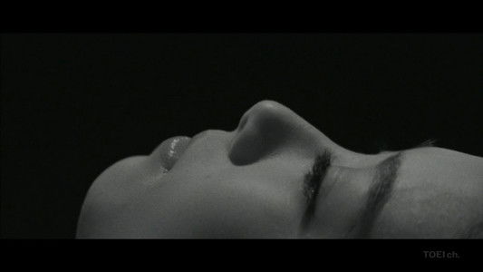 Dezessete Ninja 2: A Grande Batalha