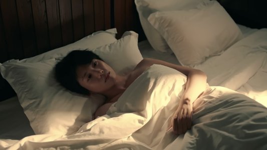 荔枝树下热烈岛