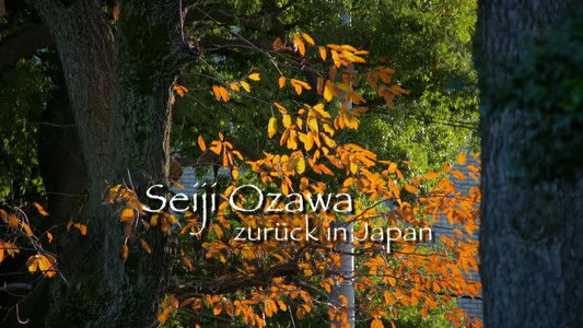 Seiji Ozawa : retour au Japon