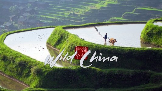 Wild China