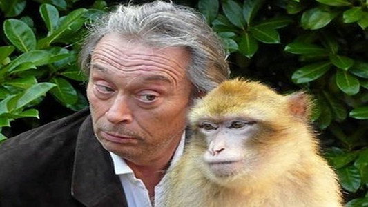 La Vie Privee des Animaux