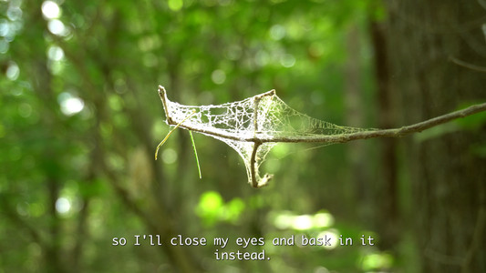 All Things Gentle