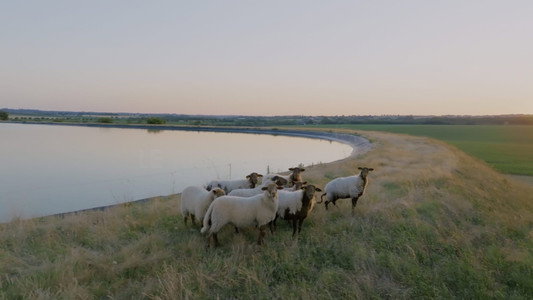 Monde agricole : la fracture de l’eau