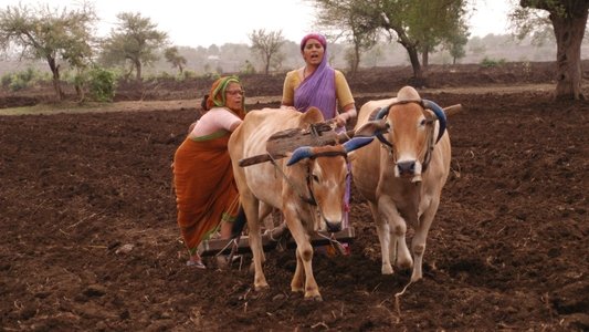 गाभ्रीचा पाऊस