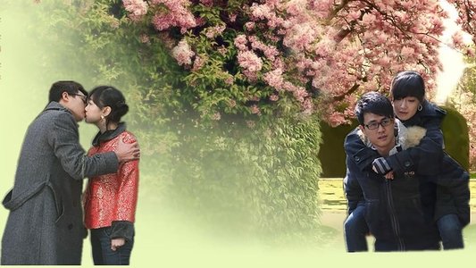 租个女友回家过年