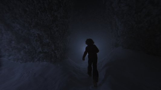 The Shining