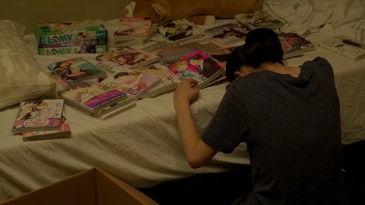 メタモルフォーゼの縁側