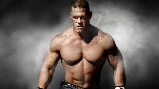 WWE Survivor Series 2008