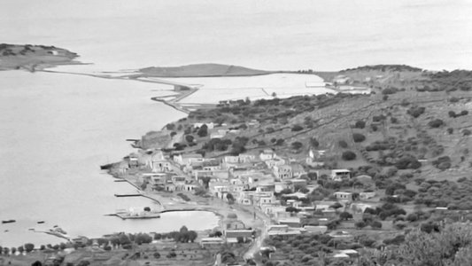 Κυνηγημένη προσφυγοπούλα