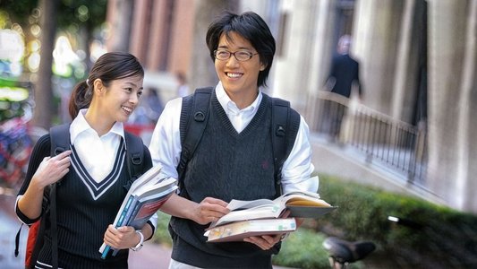 러브스토리 인 하버드