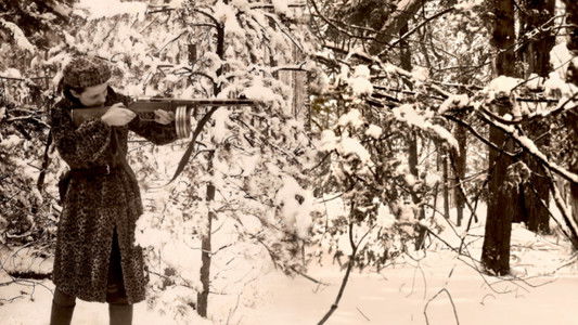 Four Winters: A Story of Jewish Partisan Resistance and Bravery in WWII