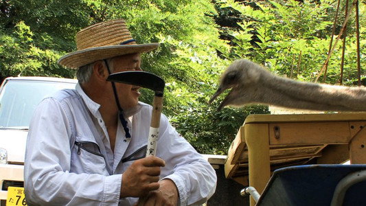 ナオトひとりっきり Alone in Fukushima